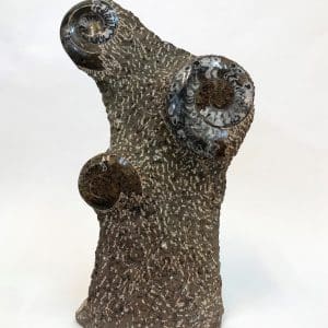 Ammonite Sculpture