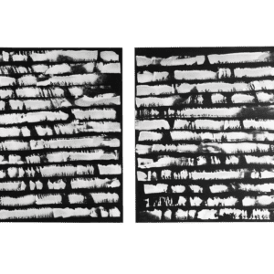 Black and White Diptych